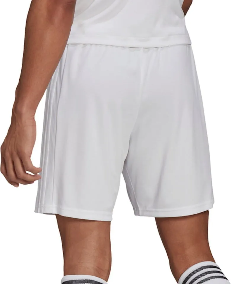 Pantalón corto adidas SQUAD 21 SHO