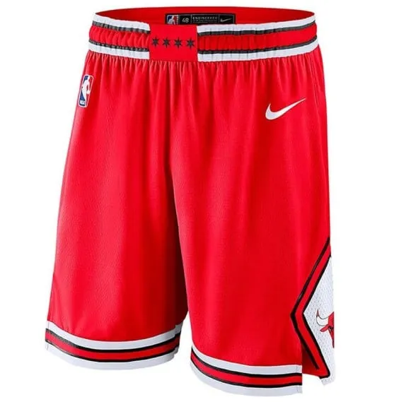 PANTALóN JUNIOR CHICAGO BULLS 2223 ICON EDITION