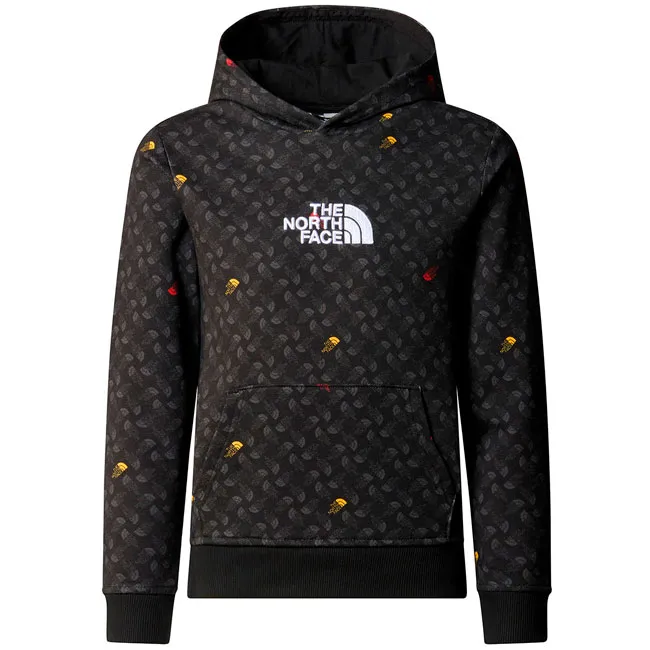 Sudadera the north face Drew Peak Light P/O Hoodie Boy