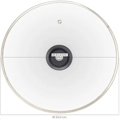 Tapa De Cristal Para Sarten 22 Cm Transparente
